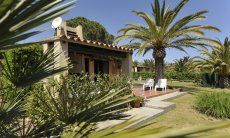 Villa Carla | Groomed and big garden of the villa Groomed and big garden of the villa