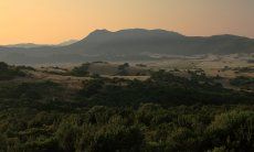 Torre Salinas | View over the hilly land in the evening sun Costa Rei at Sunset