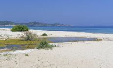 Beach in front of the house