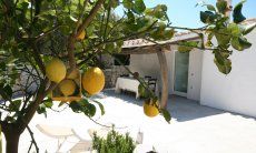 Villa Maria Mercedes | Lemon tree right next to the villa Villa Maria Mercedes
