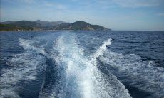 Motorboat Excursions | Conquer the sea with a motorboat Sardinia