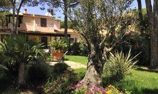 Villa Pino | Big garden with flowers and shade, pool is under construction Villa Pino