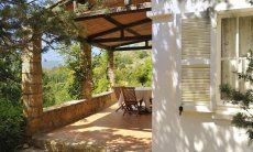 Beautiful roofed terrace 