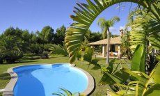 Villa Il Palmeto | Pool, among the beautiful garden Pool, among the beautiful garden