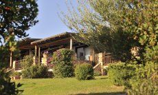 Casa Graziella | Wide and green garden Wide and green garden