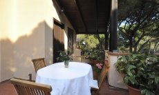 App. Pino | Terrace Terrace