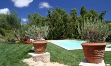 Villa Caroline | Groomed and beautiful garden Groomed and beautiful garden