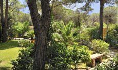 Villa Pino | Spacious garden with pool which will be finished for the season 2020 Garden