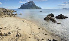 Beach in front of the villa