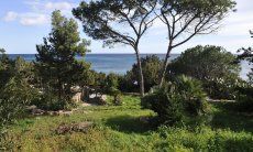 Apartment Cala Liberotto I | View towards the sea from the terrace View towards the sea from the terrace