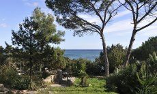 Garden view and the sea in the background 