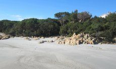 Beach in front of the house 