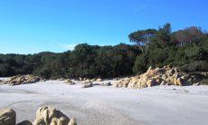 Apartment Cala Liberotto I | Beach near the house Beach near the house