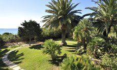 Villa Nautilus | Groomed garden with palm tree and sea view Groomed garden with a sea view