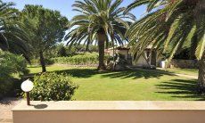 Villa Nautilus | Beautiful garden Garden