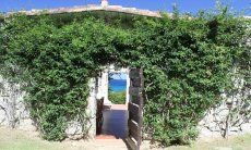 Entrance covered with a climbing plant of Casa 8 in Sant Elmo