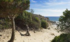 Beach of Chia (10 km)