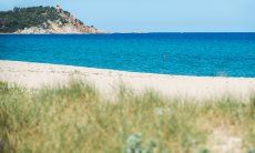 Beach in front of the house