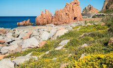 Apartment Orri 3 | Excursion to the red rocks in Arbatax 6 km Sight; Rocce Rosse, Arbatax