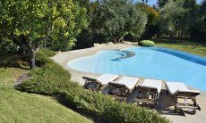 Villa Ulivi 12 | Pool with loungers and lemon tree Pool