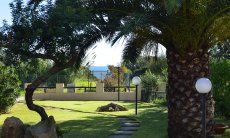 Villa Gaia | Garden in front of the house with huge palm tree Garden in front of the house