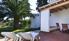 Villa Gaia | The comfortable sun loungers on the terrace offer a calming view into the green garden with palm trees terrace