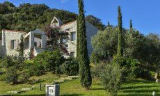 Li Conchi 2 | Green and groomed garden in front of the house Garden