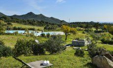 Garden with View