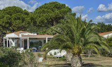 Villa Graziano | Huge garden around and in front of the house Villa Graziano among a huge garden