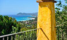 C.Orchidea | Stunning sea view until the southern end of Costa Rei Orchidea in der Natur