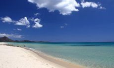 Villa Le Ginestre 2 | Beach of Costa Rei Sardinia