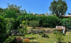 Villa Nicola | Beautiful garden of the villa Beautiful garden of the villa
