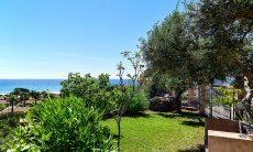Apartment Castededdu 6 | Green garden with Mediterranean plants and trees Green garden with Mediterranean plants and trees
