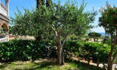 Apartment Castededdu 8 | Small, private garden New Picture 2018