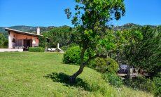 Natural garden with trees in front of the villa 