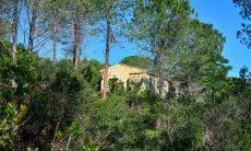 Villa Paradiso | New Picture 2018 New Picture 2018