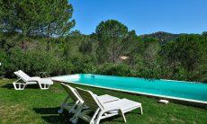 Private pool in the middle of nature 