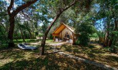 Zelt-Lodge Orri 2 | Position in nature with a garden (Example picture, actual photos will be published in spring) New Pictures 2018