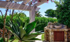 Villa delle Agave | Mediterranean plants Mediterranean plants