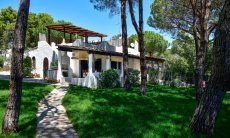 Villa Liliana | Groomed garden of the villa View of the house
