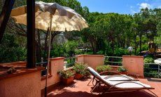 App. Pino | Solarium Solarium