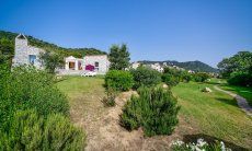 Li Conchi 35 | Garden Garden