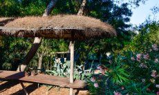 Villa Philippine | Garden details New Picture 2018