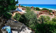 Lounge chairs on the terrace in the shade of olive trees