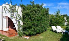 Villa Vela | Green garden with sun loungers House view of Villa Vela