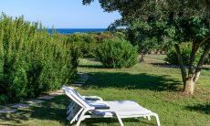 Casa Meloni 1 | Relax in the green garden, in the background the sea 2018 New Picture