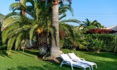 Villa Giangaleazzo | Garden with sunbeds under palm trees Garden with sunbeds under palm trees