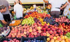 Villa Vela | Regional goods of sardinian farmers weekly market