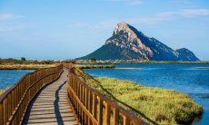 Beautiful strolls through the natural reserve of Porto Taverna with view of the isle of Tavolara