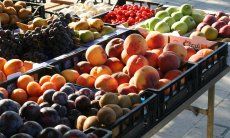 Fresh fruits from locals 